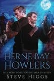 Herne Bay Howlers book