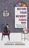 Before Your Memory Fades book