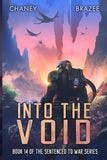Into the Void book