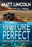Picture Perfect book