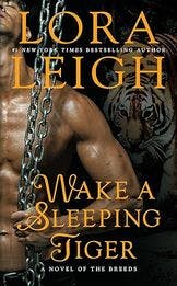 Wake a Sleeping Tiger book