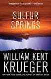 Sulfur Springs book