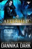 Afterlife book