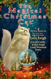 The Magical Christmas Cat book