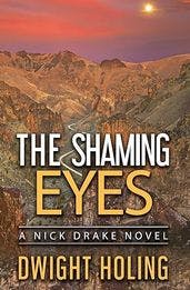 The Shaming Eyes book